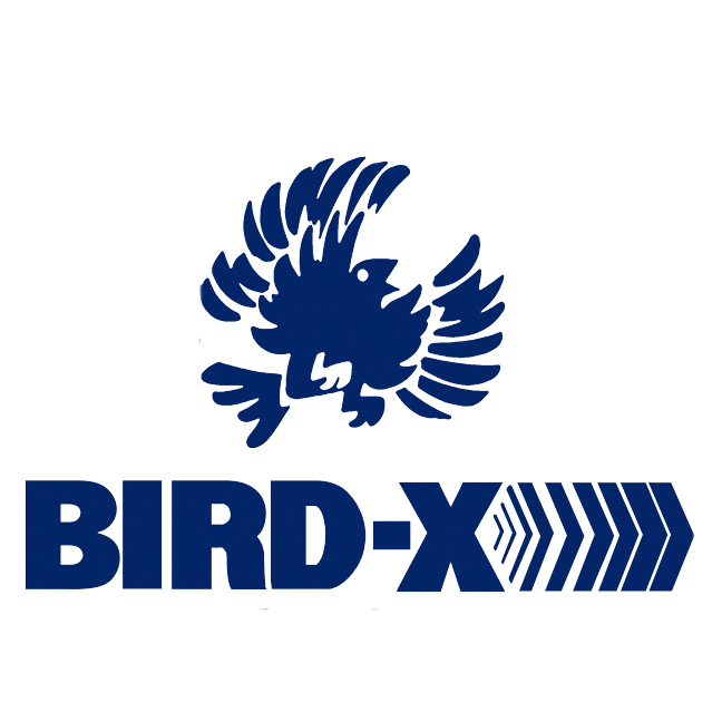 Bird-x